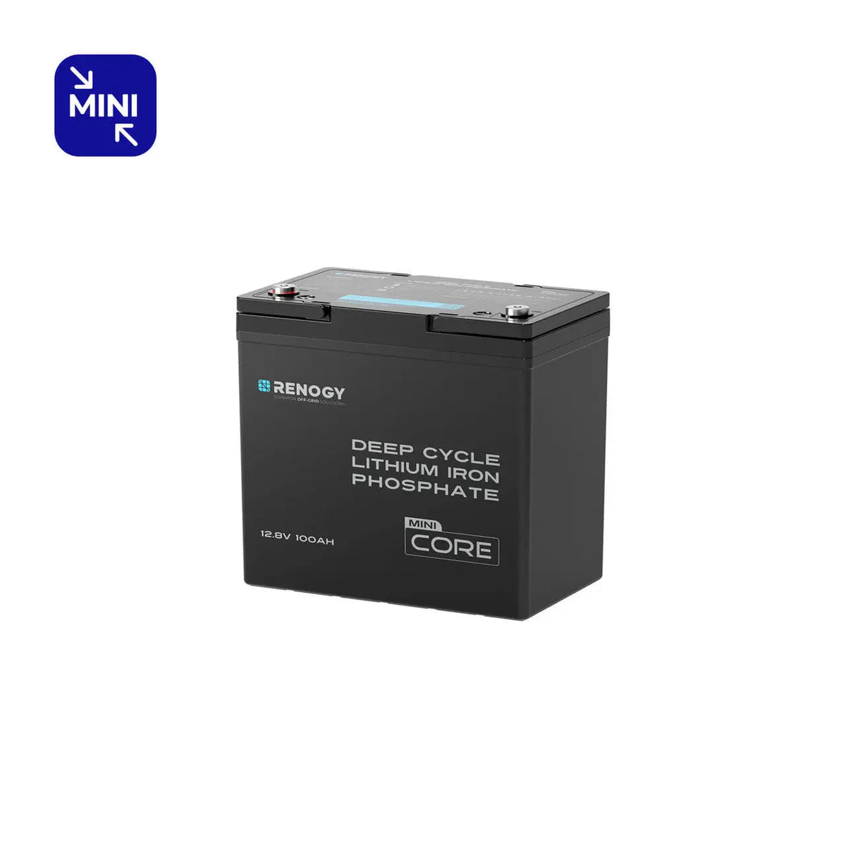 12.8V 100Ah Lithium Iron Phosphate Battery
