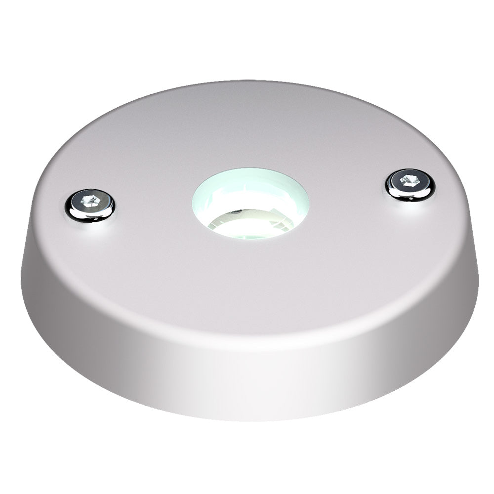 Lopolight Spreader Light - White/Red - Surface Mount — marine flood/spreader lights