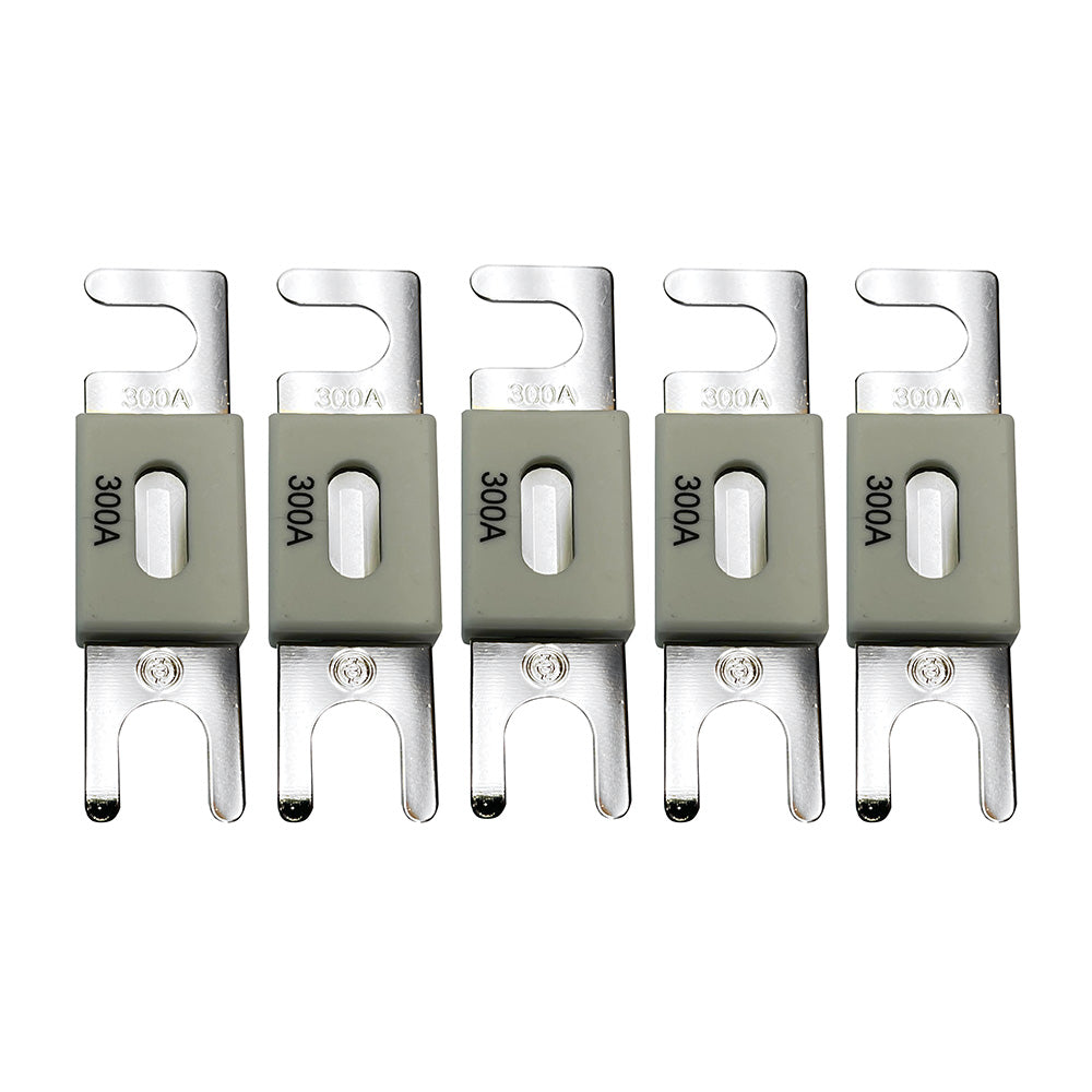Victron Energy Victron ANL-Fuse 300A/80V f/48V Products (Package of 5) — marine fuse blocks & fuses