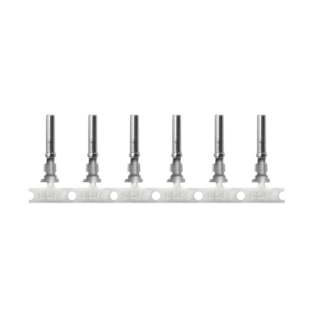 Pacer DT Deutsch Socket f/14 AWG Wire - Size 16 Contact (100 Pack) — marine terminals