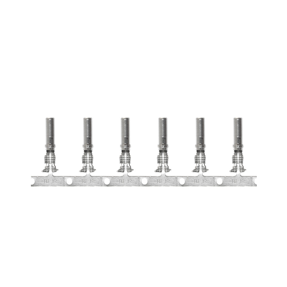 Pacer DTP Deutsch Socket f/10 AWG Wire - Size 12 Contact (10 Pack) — marine terminals
