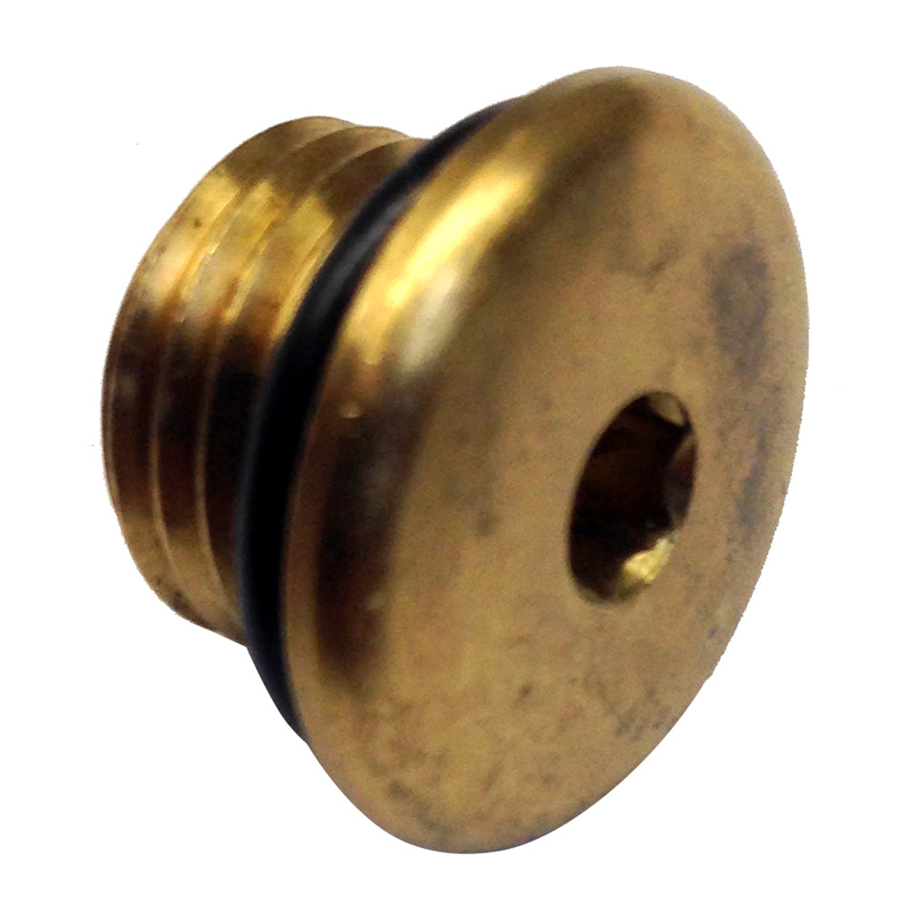 Uflex USA Uflex Brass Plug w/O-Ring for Pumps — marine steering systems