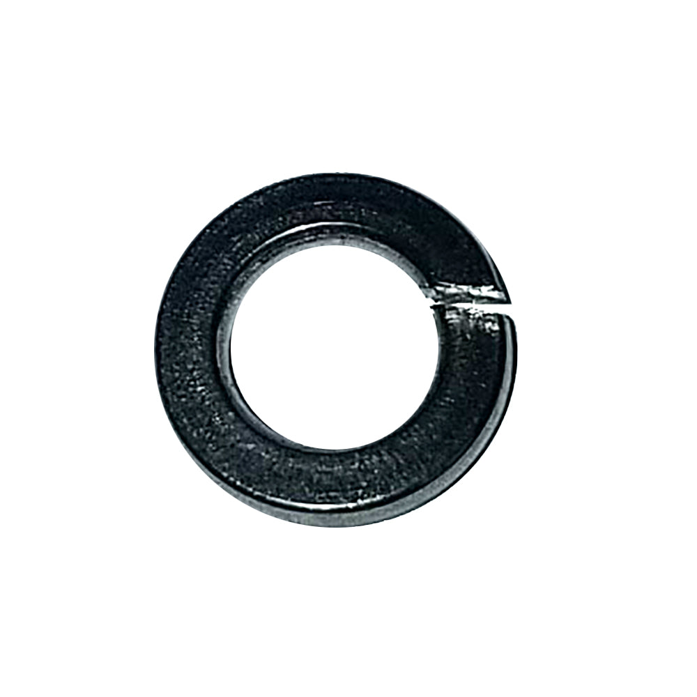 Maxwell Washer Spring - 6mm - 304 Stainless Steel — marine windlass accessories