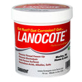 Forespar Performance Products Forespar Lanocote Rust & Corrosion Solution - 16 oz. — marine outdoor