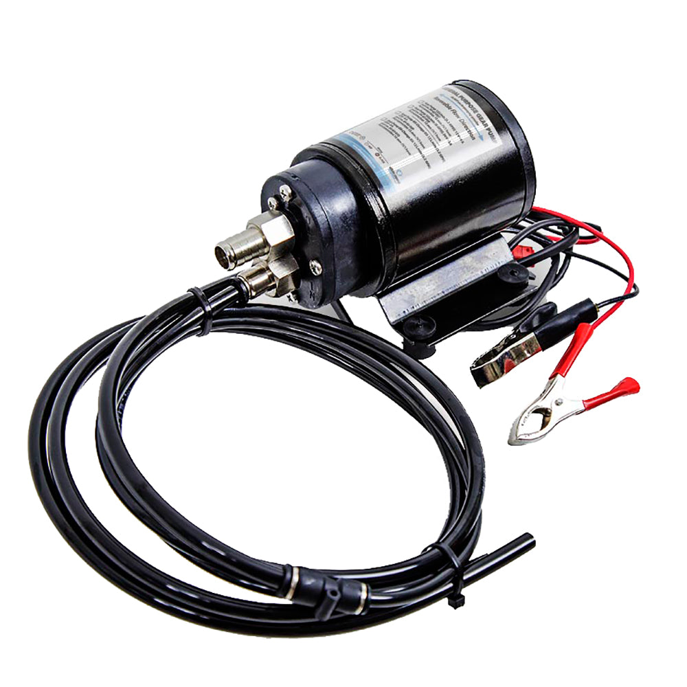 Albin Group Marine Gear Pump Oil Change Kit - 12V — marine transfer pumps