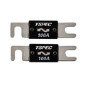 T-Spec V8 Series 100 AMP ANL Fuse - 2 Pack — marine fuse blocks & fuses